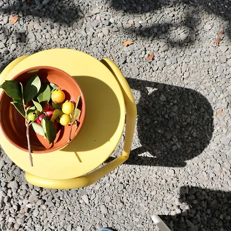 Araca - Atlantic Mountain Living * São Vicente